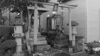 第三の廓。鳥取・倉吉新地を歩く