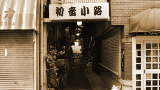 谷中にこんなところがあったなんて…。昭和アーケード横丁『初音小路』