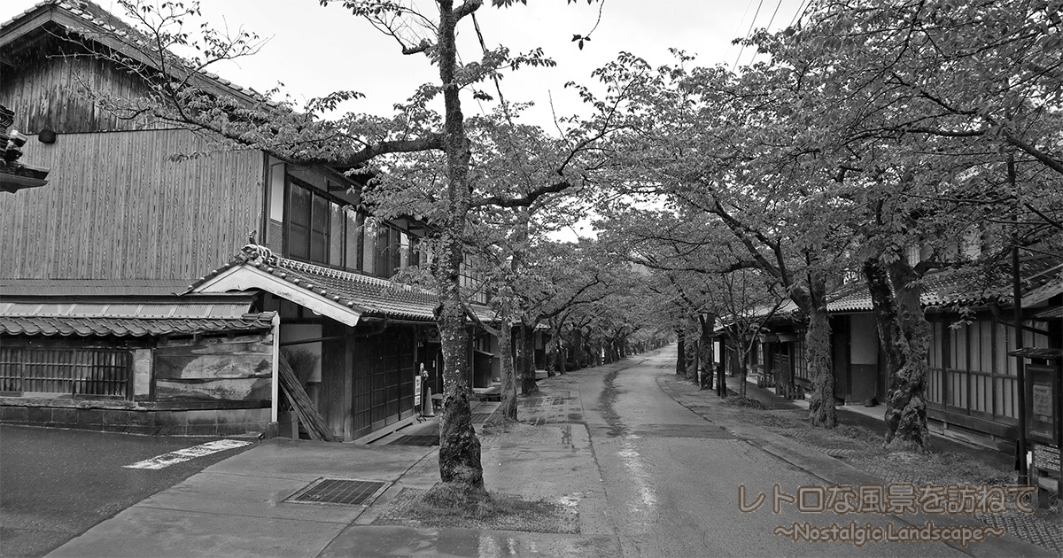 桜並木に彩られた国境の宿場町、出雲街道「新庄宿」